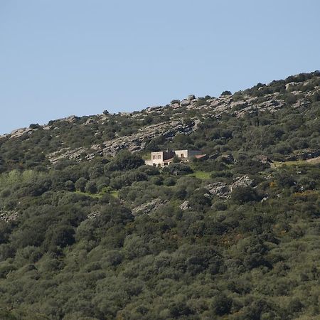 Campi Elisi B&B Sassari Buitenkant foto