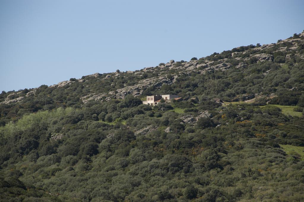 Campi Elisi B&B Sassari Buitenkant foto